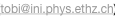 shapeimage_4_link_8